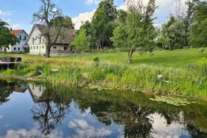Ferienhof Moosing