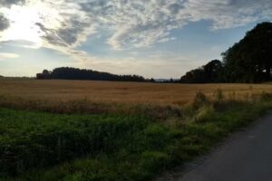 Ferienwohnungen, Boutique & Cafe – Karen Plischtil