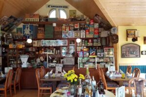 Fisch und Meer