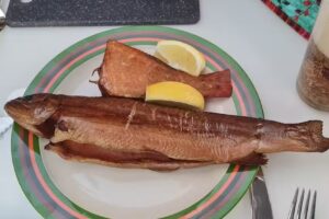 Fischer Betriebs GmbH