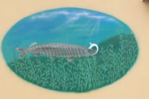 Fischerei- und Verarbeitungsbetrieb K.-D. Dehmel