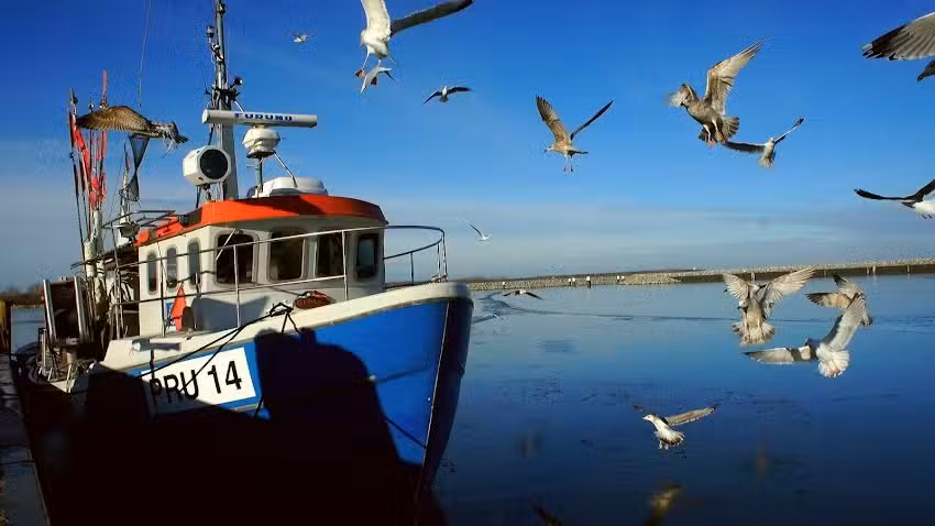 Fischladen mit Imbiss Fischer André