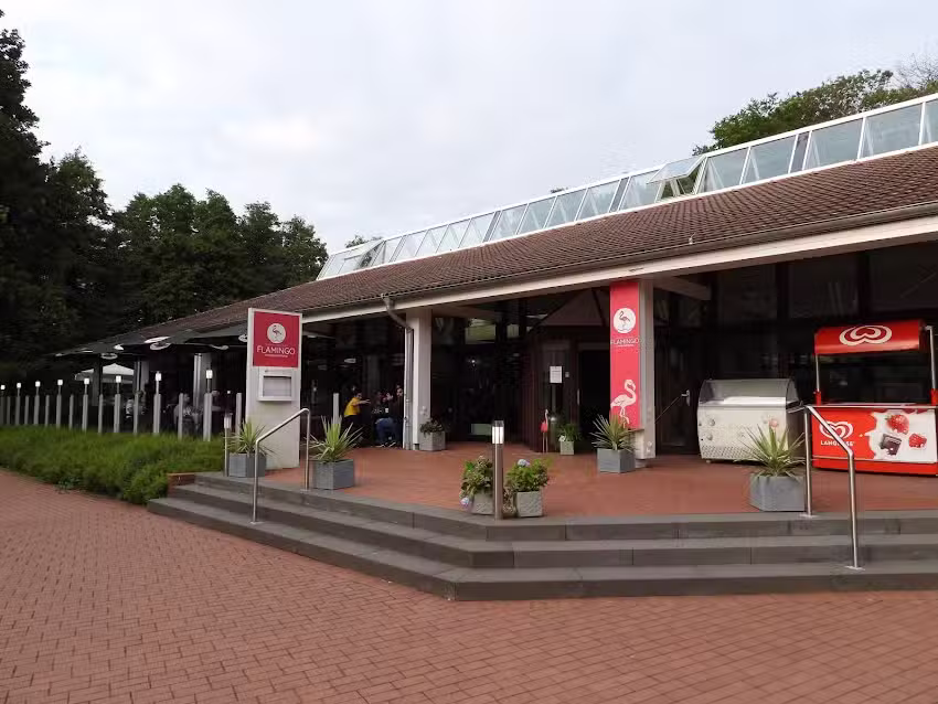 FLAMINGO restaurant / cafe / event