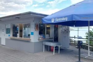 Flotte Flosse der Fischimbiss