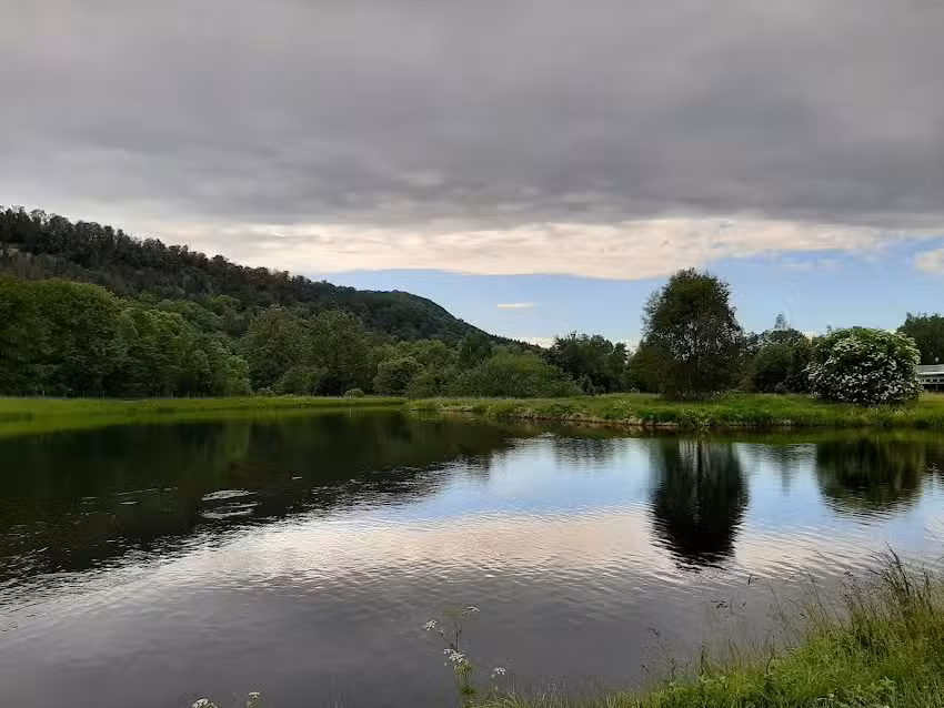 Forellenhof Themar &ndash; Angelteich