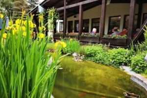 Forellenzucht Uhthoff