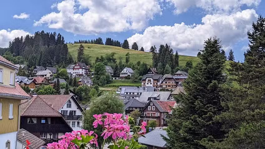 Forsters Schwarzwald Resort &ndash; Hof