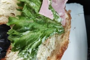 freshcompany