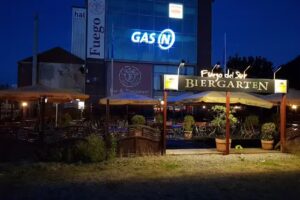 Fuego del Sur