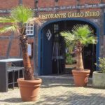Gallo Nero