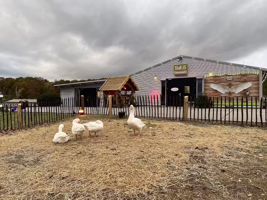 G&auml;nsezucht Wermsdorf &ndash; Eskildsen GmbH