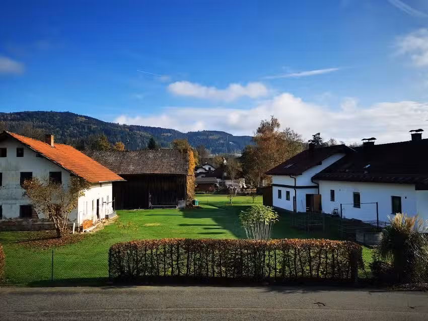 Gasthaus Caf&eacute; Pension Auerhof