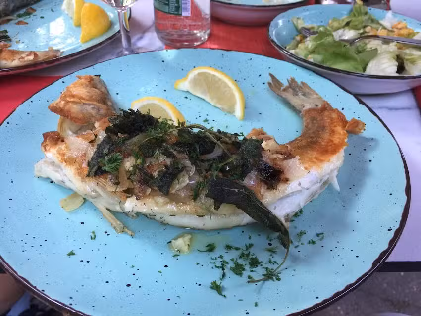 Gasthaus Waldfrieden