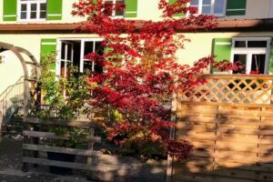Gasthaus „Zur Linde“