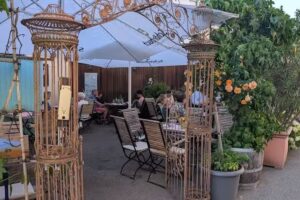 Gasthaus zur Traube