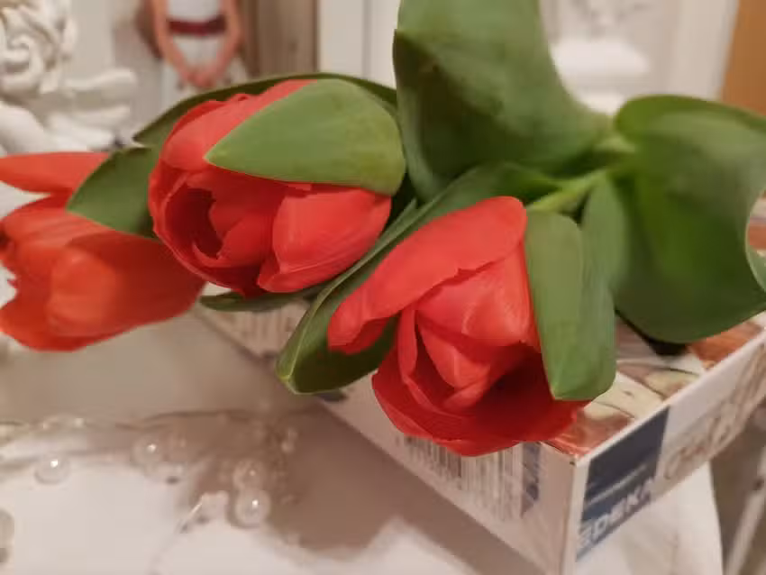 Gastst&auml;tte D&uuml;nner H&ouml;h