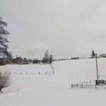 Gaststätte Grüner Baum