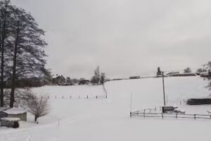 Gaststätte Grüner Baum
