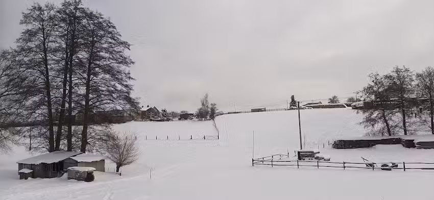 Gaststätte Grüner Baum
