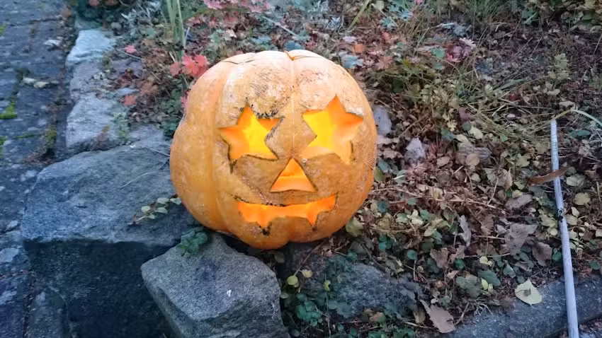 Gastst&auml;tte Lindeneck Meyfahrt