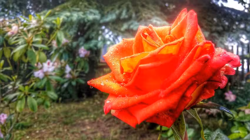 Gaststätte Schafstall