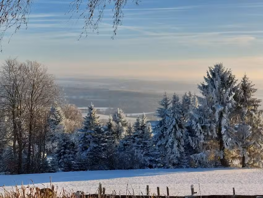 Gastst&auml;tte zum Steiner Inh. A. Kegel
