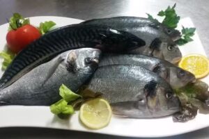 Gaststätte Zum Weserkrug