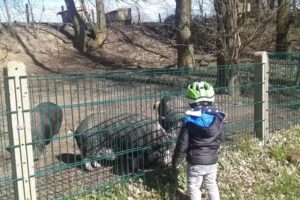 Gesine Bitter Gastst&auml;tte