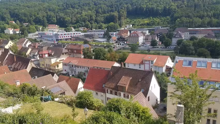 Goldener Adler &ndash; Bareis GbR