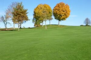Golfclub Pfaffing