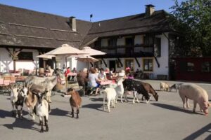Gut Aiderbichl Deggendorf