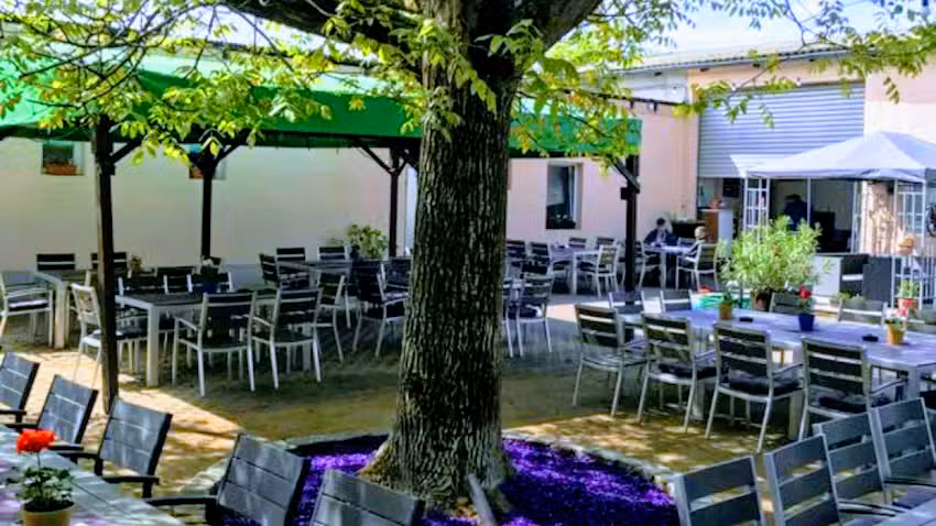 Gutssch&auml;nke Scherbaum