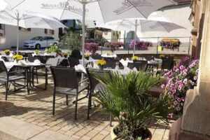 Haardter Winzer Mediterraneo