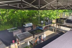 HARVY´s Foodtrailer