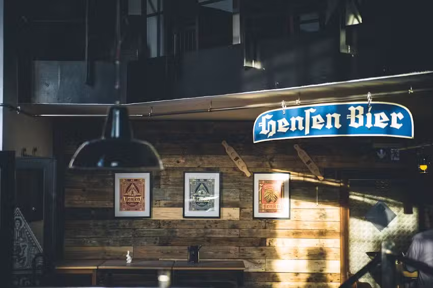 Hasenbande im Hensen