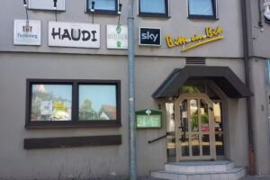 Haudi