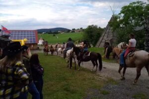 Heidelinde Saxinger Gaststätte