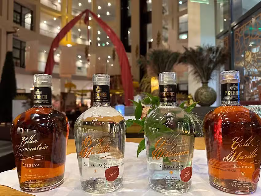 Himalaya Im Kassel-Atrium