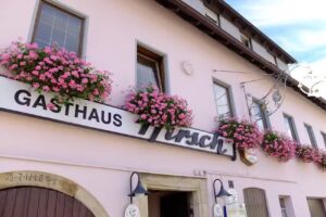 Hirsch
