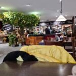 H&ouml;ffner Kochm&uuml;tze