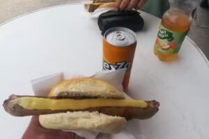 Holzkohlengrill