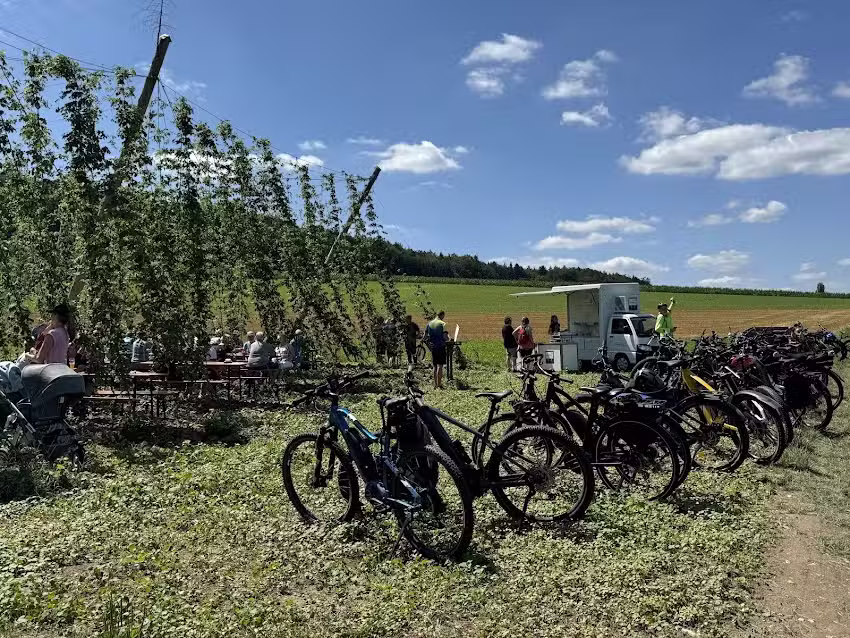 Hopfengarten – Hechtbräu Beyerle