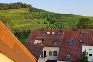 Hotel „Alte Kelter“