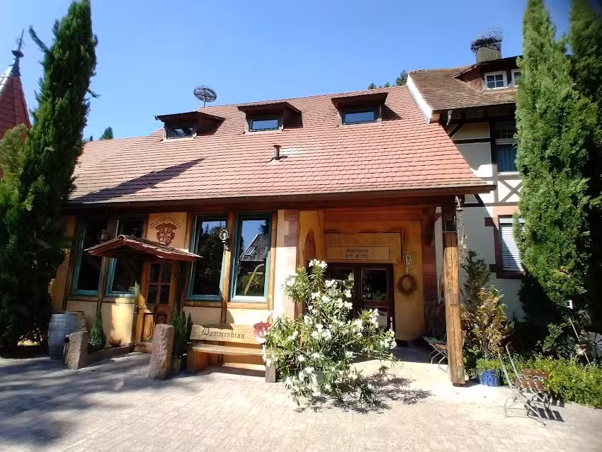 Hotel Dammenm&uuml;hle GmbH