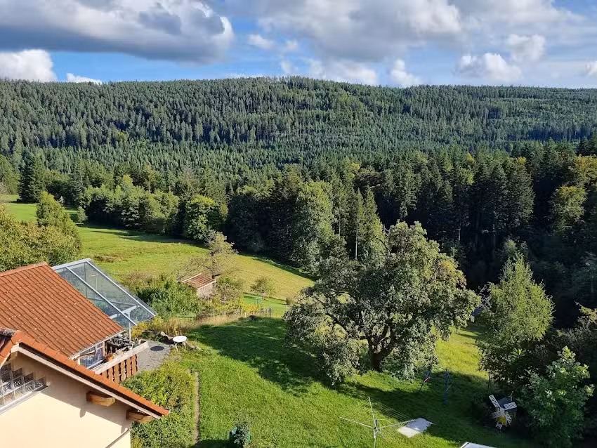 Hotel Gasthof Hirsch