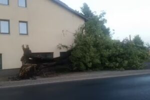 Hotel Gottfried Panicke