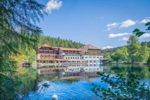 Hotel Langenwaldsee