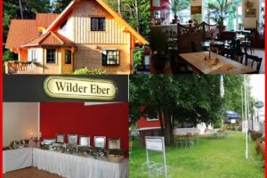 Hotel und Restaurant Wilder Eber