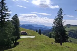 Huberalm