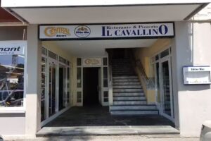IL CAVALLINO